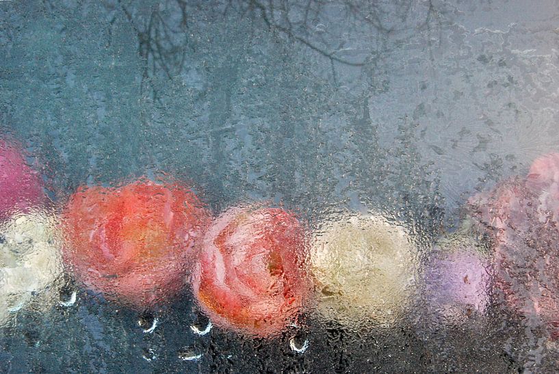 Bevroren bloemen par Annemie Hiele