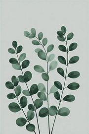 Moderne, minimalistische Illustration eines Eukalyptuszweigs auf kühlem grauen Hintergrund von VICTOR S