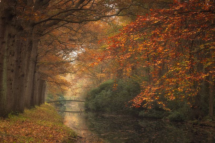 The Bridge by Jos Erkamp