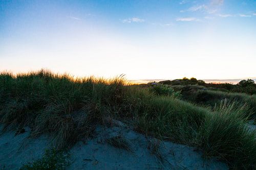 photo de plage magnifiques dunes puissantes capturent la lumière de la fin de soirée.