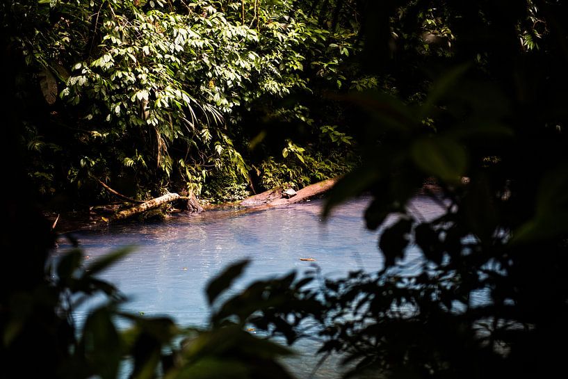 Costa rica, Turtle by Sander Verhoeven