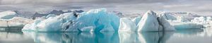 Panorama des icebergs sur Sjoerd van der Wal Photographie