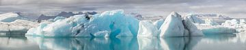 Panorama des icebergs sur Sjoerd van der Wal Photographie