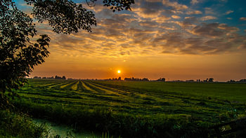Het gras is gemaaid.
