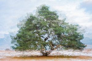 RondOm Veluwe. Prachtig als naadloos behang, op aluminium of metal.