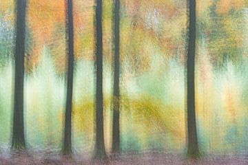 Der malerische Wald von Loulou Beavers
