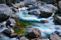 Groen water van de Maggia