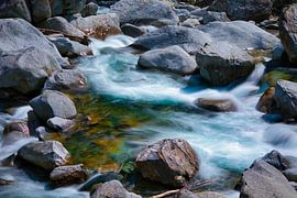 Groen water van de Maggia