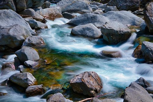Green water of the Maggia