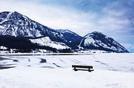 Winterlandschaft am Traunsee in Österreich von Frank Herrmann Miniaturansicht