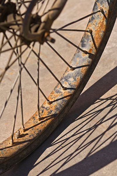 ensoleillé roue de bicyclette rouillée avec une ombre graphique par Tony Vingerhoets