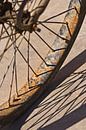 ensoleillé roue de bicyclette rouillée avec une ombre graphique par Tony Vingerhoets Aperçu