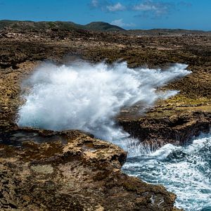 Curacao, Park shete boka van Keesnan Dogger Fotografie