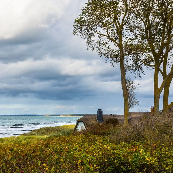 Autumn in Ahrenshoop II by Daniela Beyer