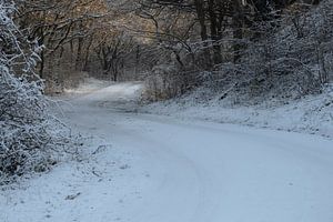 Gefrorener und schneebedeckter Fußweg im Noordhollands Duinreservaat Bergen aan Zee