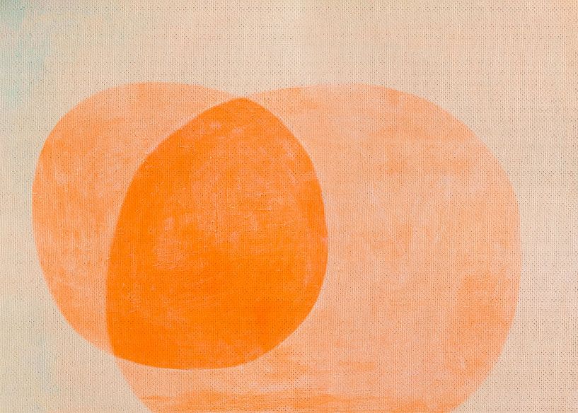 Absorb van Fernando Vieira