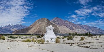 Tschörten in the Nubra Valley by Walter G. Allgöwer