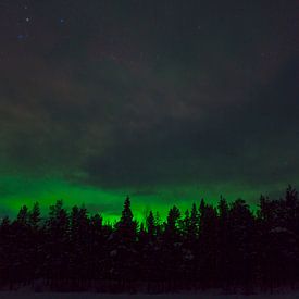 Northern lights in Swedish Lapland by Arnold van Rooij