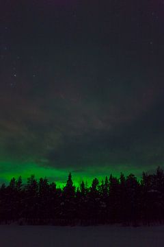 Nordlicht in Schwedisch-Lappland von Arnold van Rooij