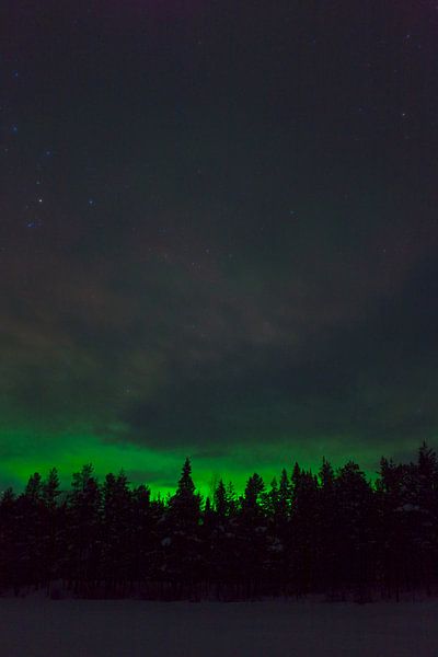 Noorderlicht in zweeds Lapland van Arnold van Rooij