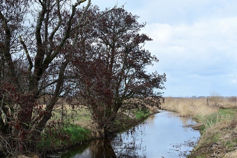A brook through the countryside by Gerard de Zwaan