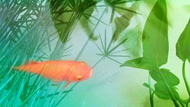 biotope by fantasina