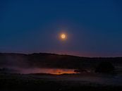 Vollmond über dem Vogelmeer-1 von Pim Weeda Miniaturansicht