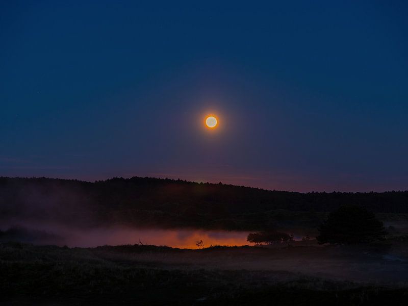 Vollmond über dem Vogelmeer-1 von Pim Weeda