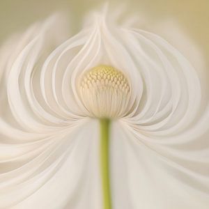 Fantasie-Blume