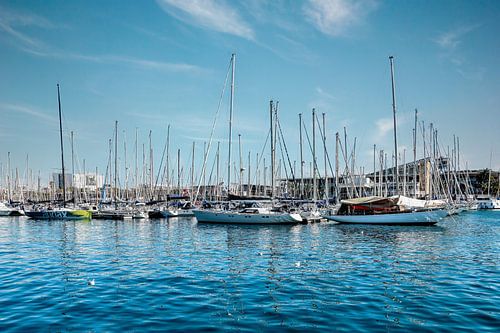 Yacht Sailboats in Port Vell Harbour near Rambla de Mar, Barcelona