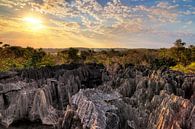 Tsingy Madagaskar tijdens zonsondergang von Dennis van de Water Miniaturansicht