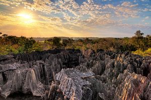 Tsingy Madagaskar tijdens zonsondergang sur Dennis van de Water