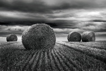 Straw bales – Northern France