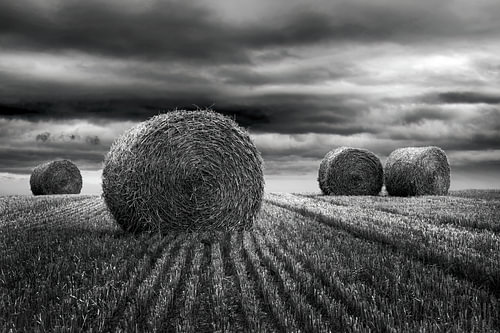 Straw bales – Northern France