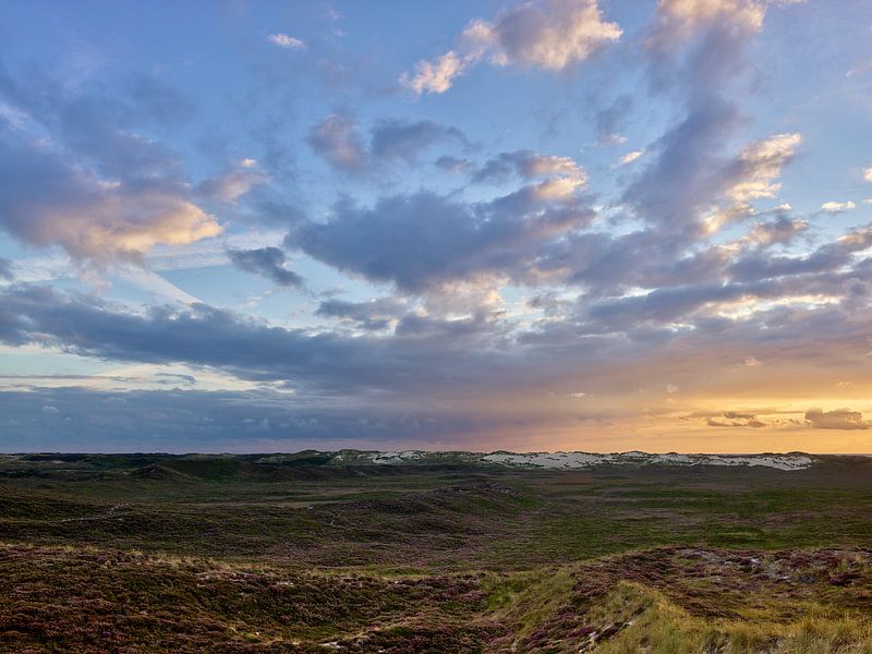 Sylt, Blick über die Dünenlandschaft von List von Ralph Rainer Steffens