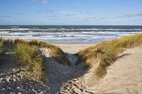 Duinopgang naar het strand van Texel