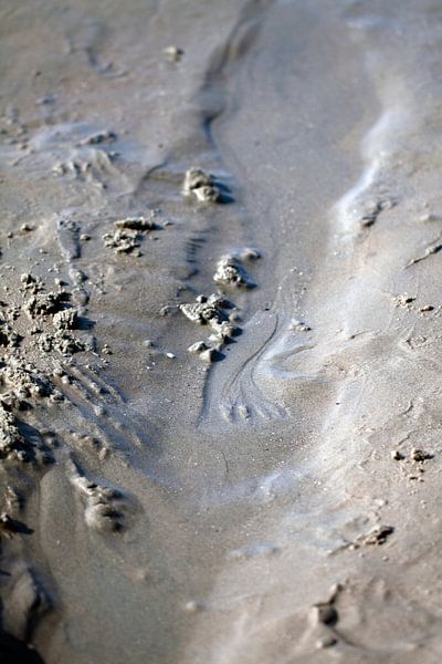 ways of the beach by Luchiena Heine