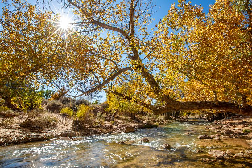 sunny view by Heidie Focus