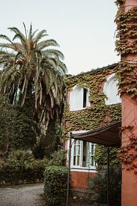 Botanischer Garten - rosa Haus von Anne Verhees