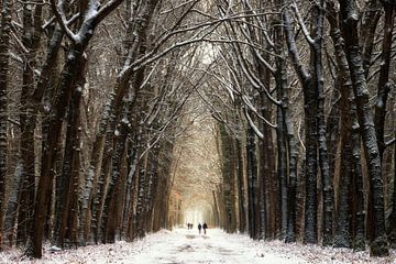 Winter Walk II van Martin Podt