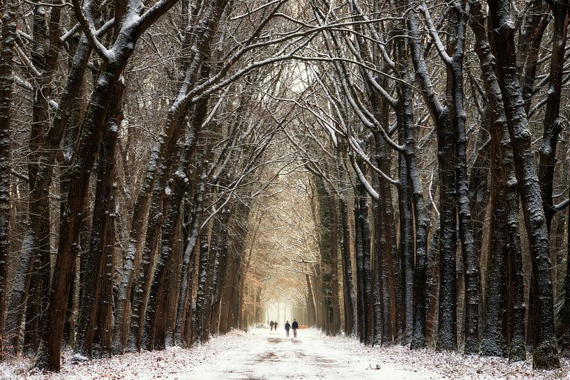 Winter Walk II par Martin Podt