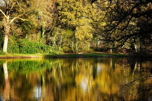 Reflecties in het water van Monique Verlouw