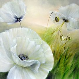 witte klaproos van Annette Schmucker