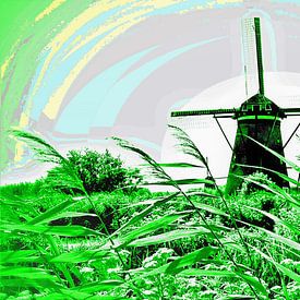 De regenboog verbind de wereld en hopelijk ook  de mensen! van Ineke de Rijk