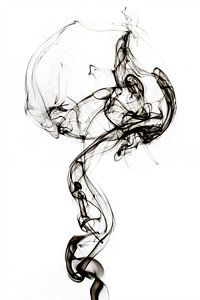 Abstracte zwarte rook - Medusa