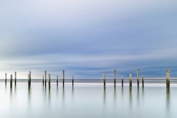 Posts in Sea sur Bas Ruiter