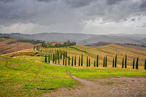 Toscaans landschap met Cipressen in Val d'Orcia