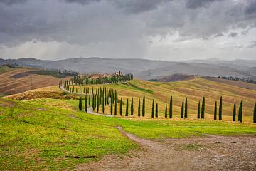 Paysage toscan avec cyprès dans le Val d'Orcia sur Kevin Baarda