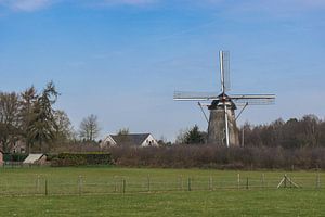Schöne Mühle in einer niederländischen Wiesenlandschaft