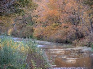 Herfst langs het Linthorst Homankanaal. van Arie Flokstra Natuurfotografie